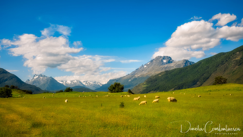 Almost typical New Zealand landscape